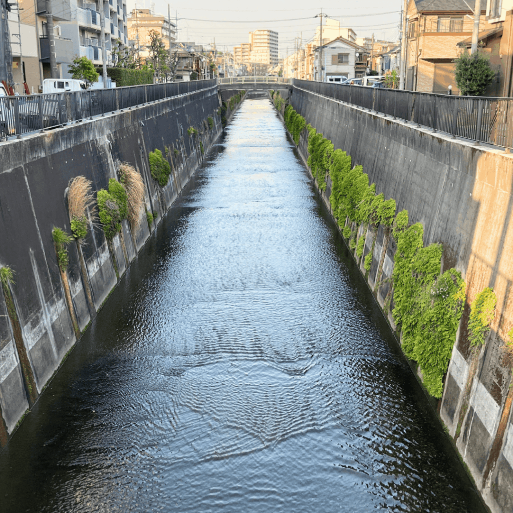 【防災・浸水対策】成増団地跡地にできる第二成増幹線工事の目的と未来について