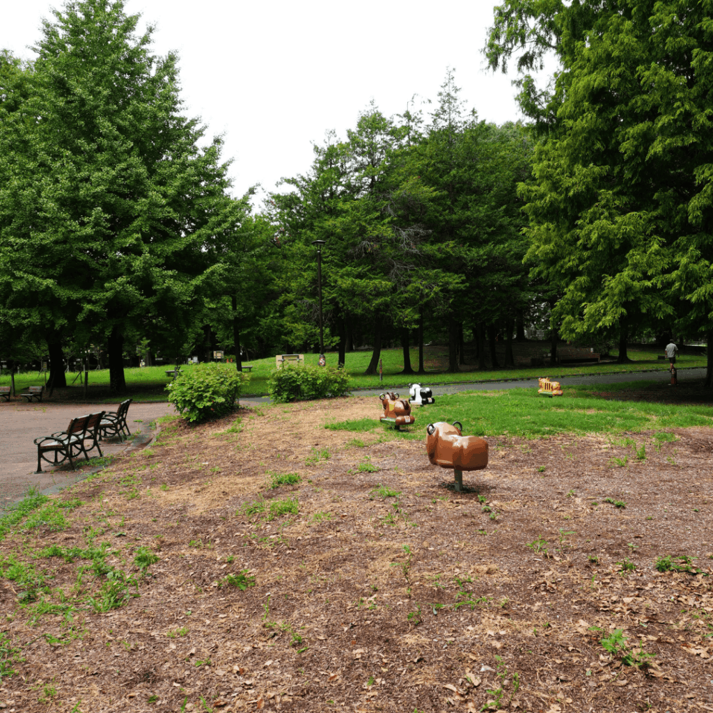 お出かけに困ったら!緑と遊びがあふれる板橋区の大型公園「都立赤塚公園」を紹介(板橋区議会議員 近藤タカヒロ)