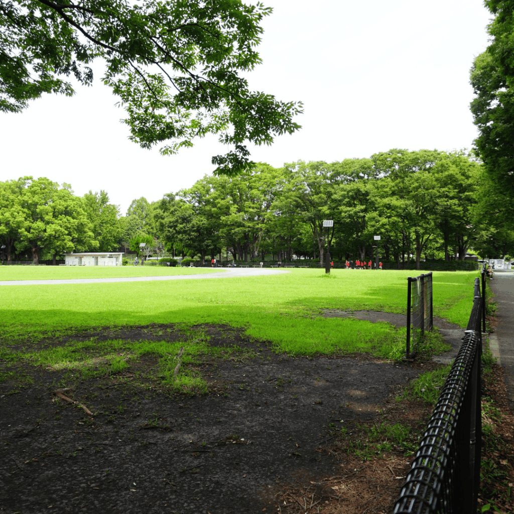 お出かけに困ったら!緑と遊びがあふれる板橋区の大型公園「都立赤塚公園」を紹介(板橋区議会議員 近藤タカヒロ)