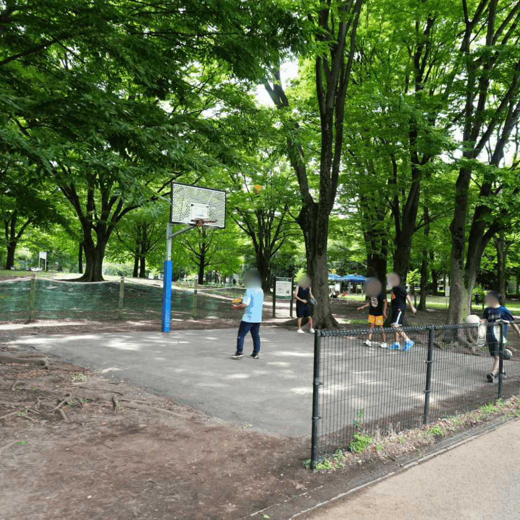 お出かけに困ったら!緑と遊びがあふれる板橋区の大型公園「都立赤塚公園」を紹介(板橋区議会議員 近藤タカヒロ)