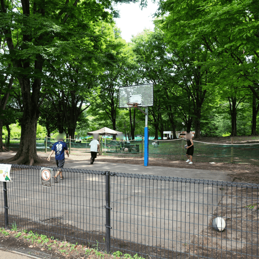 【子どもに大人気！夏の遊び場】赤塚公園「じゃぶじゃぶ池」で夏を満喫
近藤タカヒロ（板橋区議会議員）