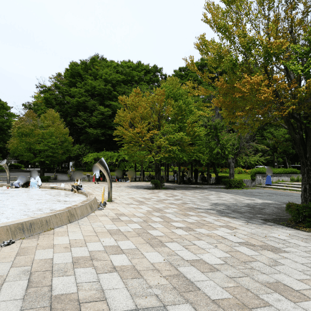 【子どもに大人気！夏の遊び場】赤塚公園「じゃぶじゃぶ池」で夏を満喫
近藤タカヒロ（板橋区議会議員）