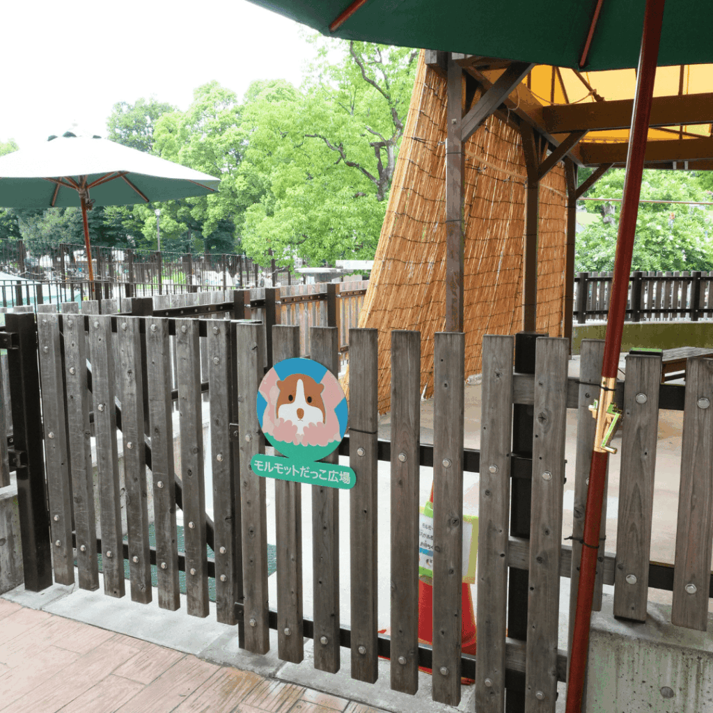 【子連れお出かけ・遊び場】東板橋公園のもう一つのおすすめスポット「板橋こども動物園」で動物とのふれあい(板橋区議会議員 近藤タカヒロ)
