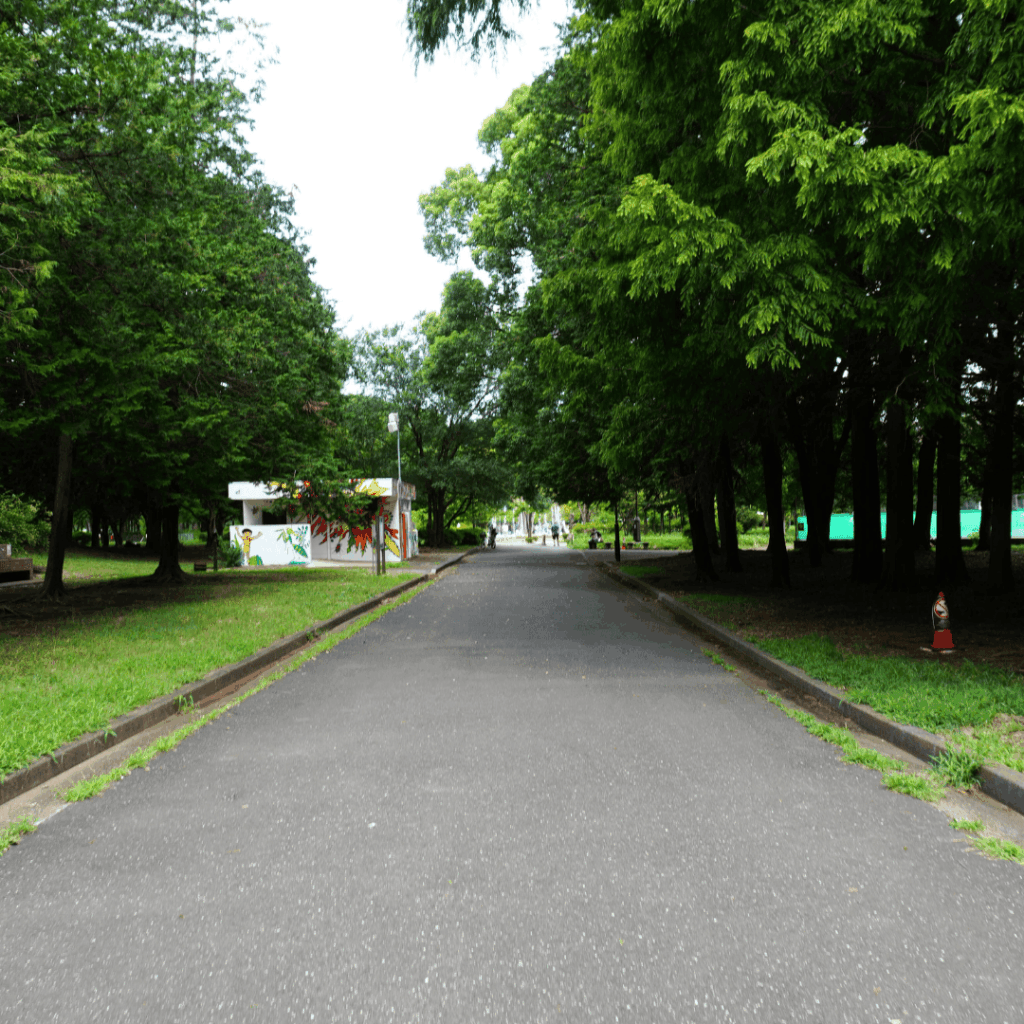 お出かけに困ったら!緑と遊びがあふれる板橋区の大型公園「都立赤塚公園」を紹介(板橋区議会議員 近藤タカヒロ)