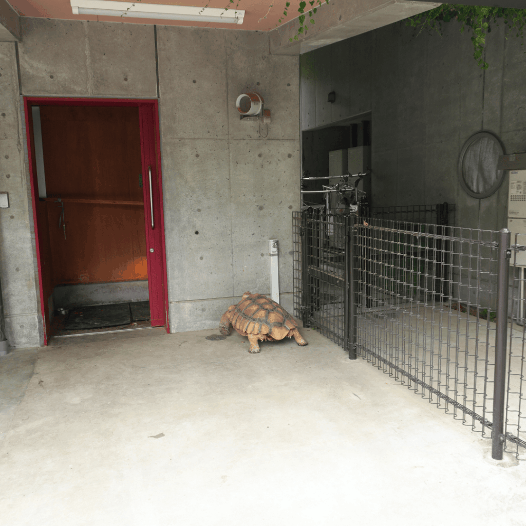 【子連れお出かけ・遊び場】東板橋公園のもう一つのおすすめスポット「板橋こども動物園」で動物とのふれあい(板橋区議会議員 近藤タカヒロ)