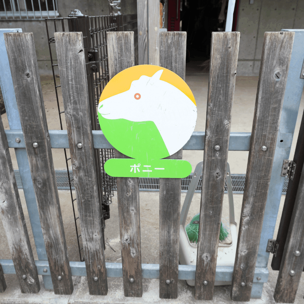 【子連れお出かけ・遊び場】東板橋公園のもう一つのおすすめスポット「板橋こども動物園」で動物とのふれあい(板橋区議会議員 近藤タカヒロ)