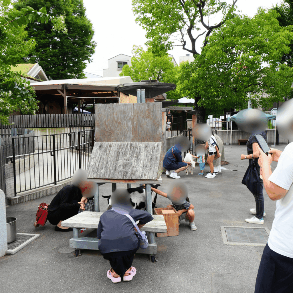 【子連れお出かけ・遊び場】東板橋公園のもう一つのおすすめスポット「板橋こども動物園」で動物とのふれあい(板橋区議会議員 近藤タカヒロ)