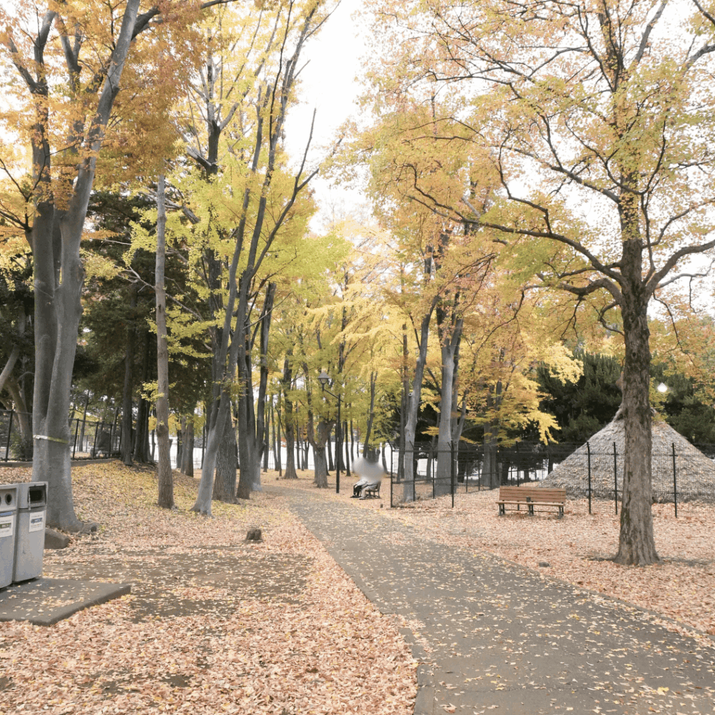 【城北中央公園】家族で過ごしやすい地域の定番公園を紹介　（板橋区議会議員 近藤タカヒロ）