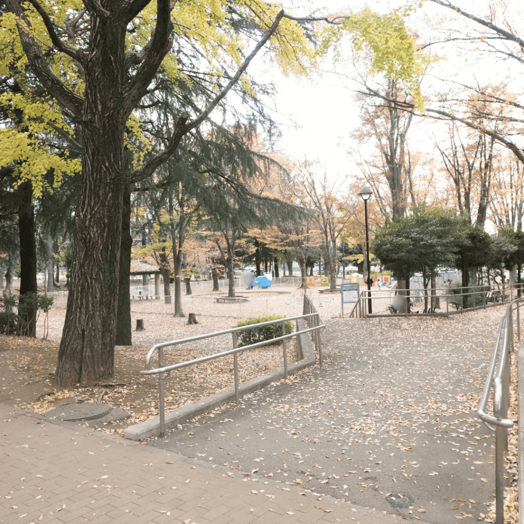 【城北中央公園】家族で過ごしやすい地域の定番公園を紹介　（板橋区議会議員 近藤タカヒロ）