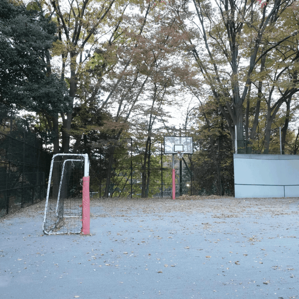 【城北中央公園】家族で過ごしやすい地域の定番公園を紹介　（板橋区議会議員 近藤タカヒロ）