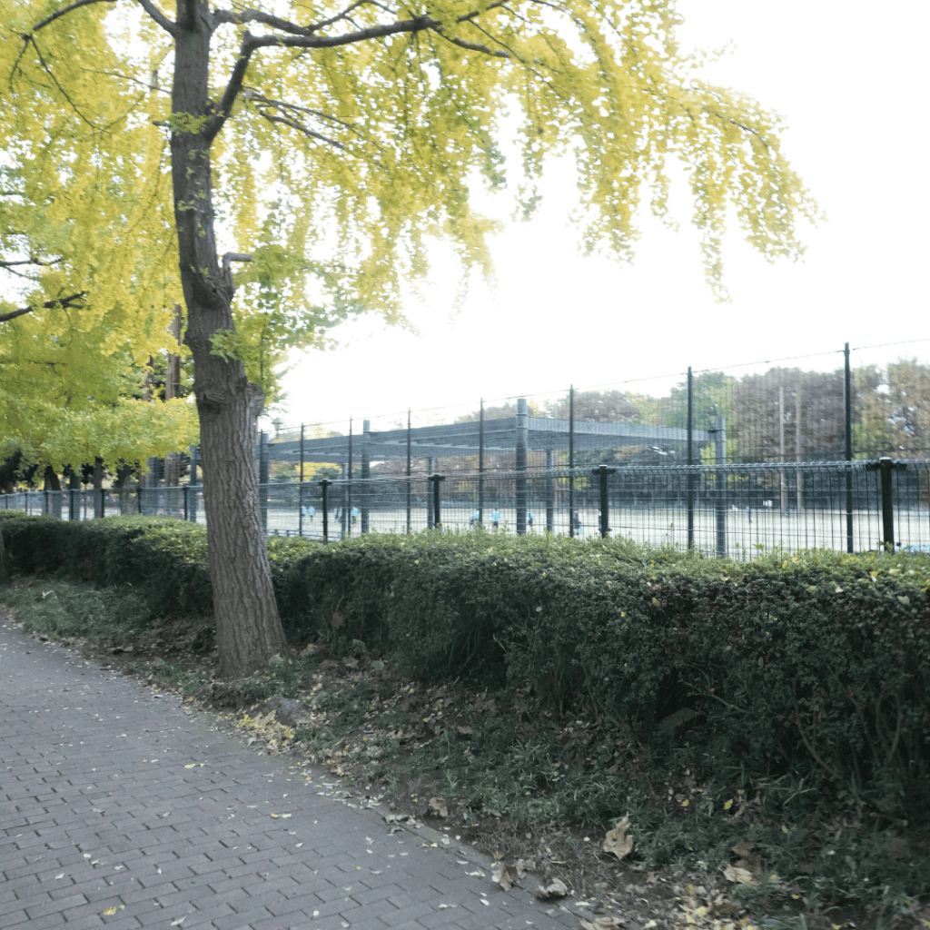 【城北中央公園】家族で過ごしやすい地域の定番公園を紹介　（板橋区議会議員 近藤タカヒロ）