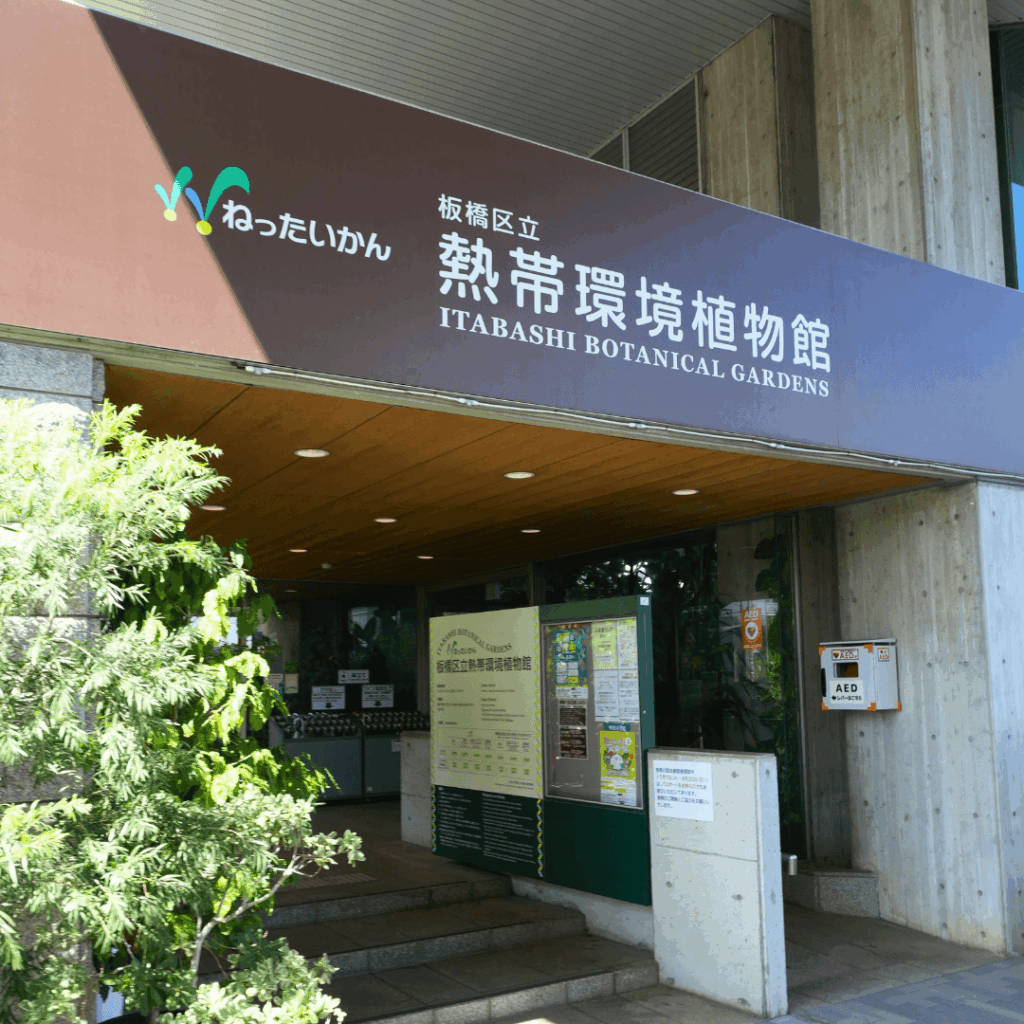 【板橋区・高島平】まるで東南アジア「熱帯環境植物館(ねったいかん)」水族館もある屋内ジャングル(板橋区議会議員 近藤タカヒロ)