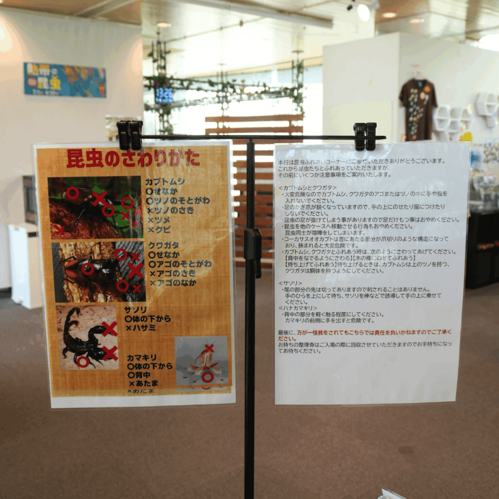 【8/30まで・板橋区】カブトムシに触れるって本当?ねったいかん夏休み特別展「熱帯の昆虫2026」に行ってきました(板橋区議会議員 近藤タカヒロ)
