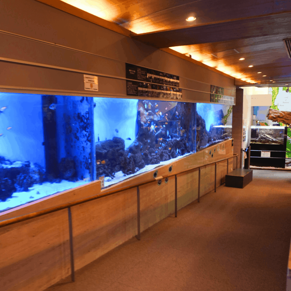 【板橋区・高島平】まるで東南アジア「熱帯環境植物館(ねったいかん)」水族館もある屋内ジャングル(板橋区議会議員 近藤タカヒロ)
