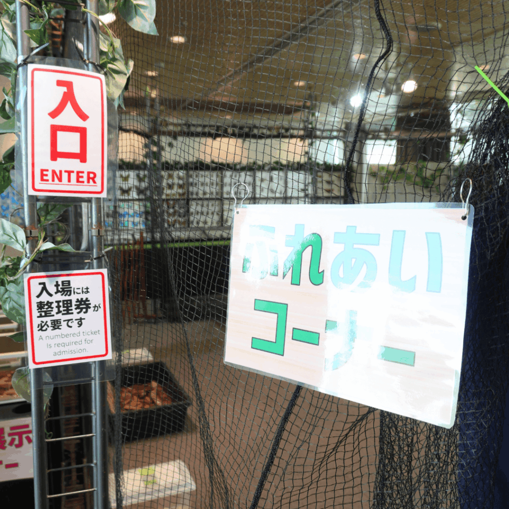 【8/30まで・板橋区】カブトムシに触れるって本当?ねったいかん夏休み特別展「熱帯の昆虫2026」に行ってきました(板橋区議会議員 近藤タカヒロ)