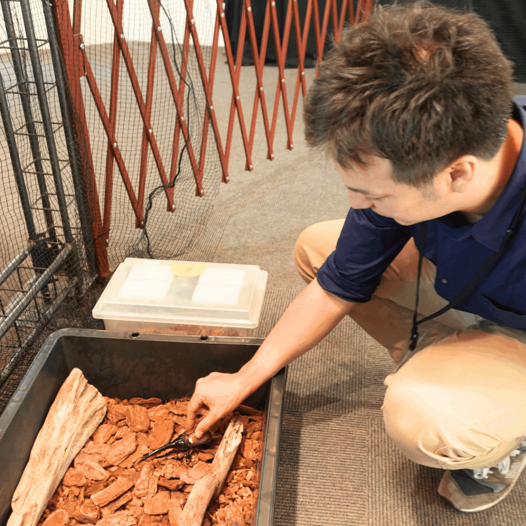 【8/30まで・板橋区】カブトムシに触れるって本当?ねったいかん夏休み特別展「熱帯の昆虫2026」に行ってきました(板橋区議会議員 近藤タカヒロ)