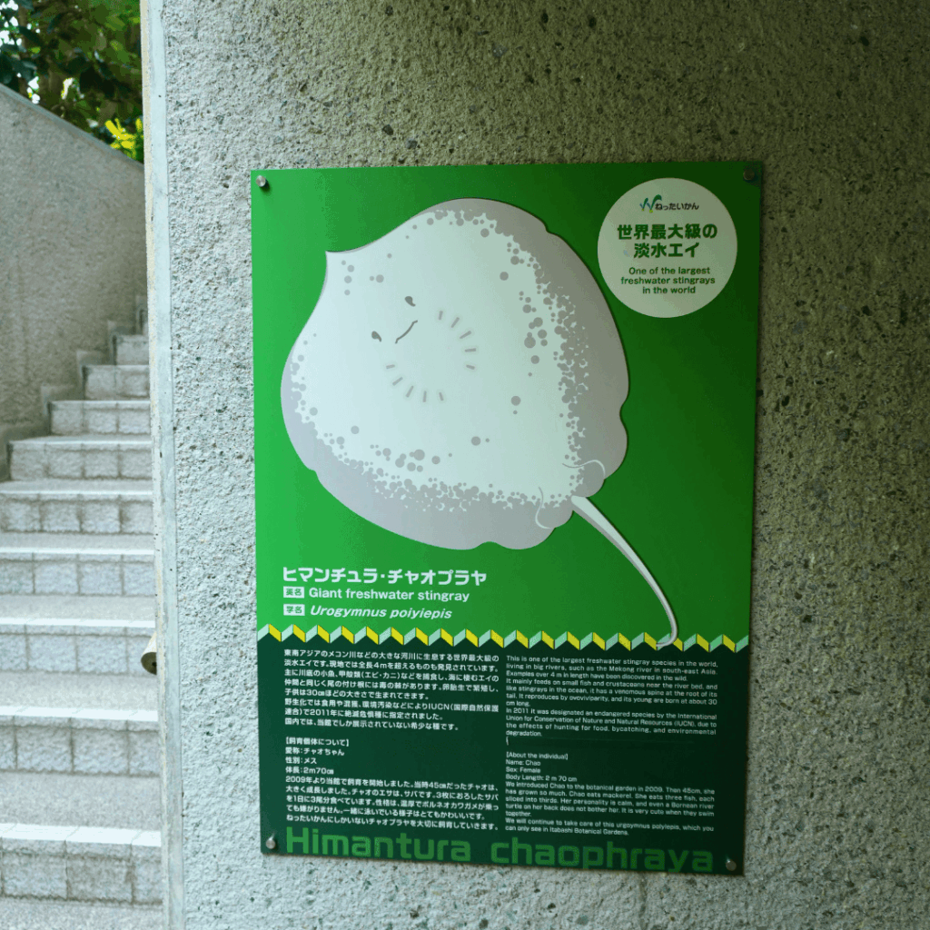 【板橋区・高島平】まるで東南アジア「熱帯環境植物館(ねったいかん)」水族館もある屋内ジャングル(板橋区議会議員 近藤タカヒロ)