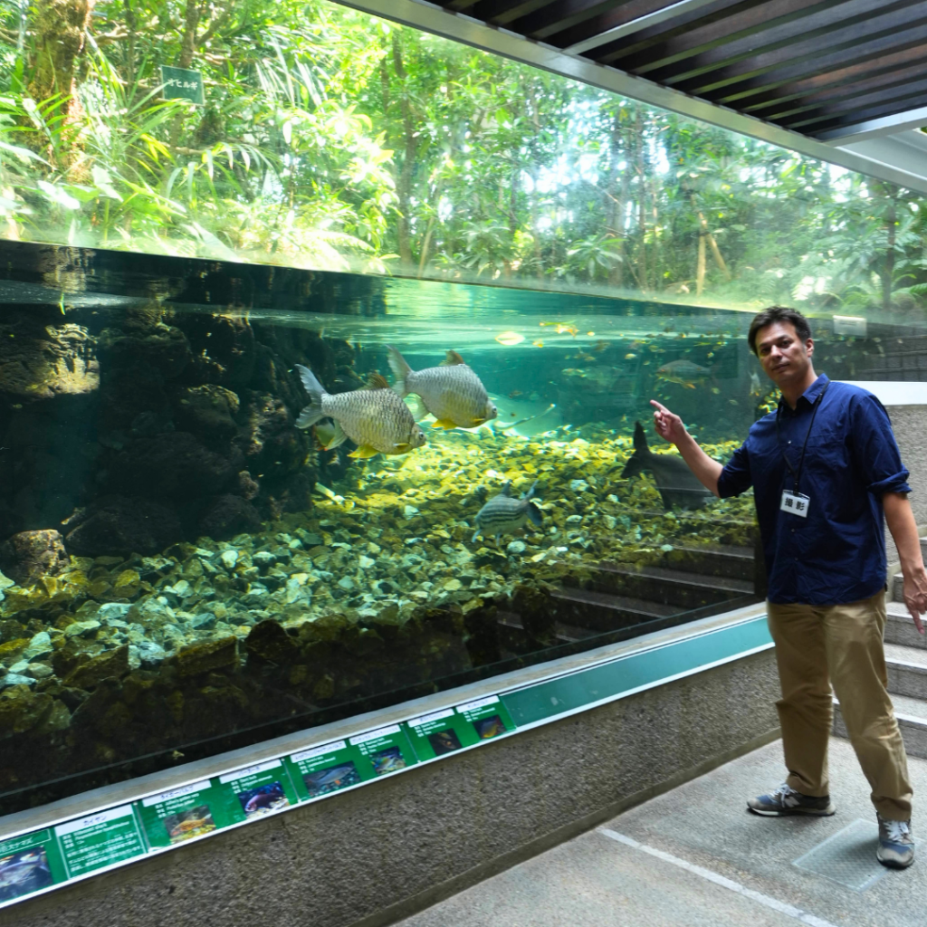 【板橋区・高島平】まるで東南アジア「熱帯環境植物館(ねったいかん)」水族館もある屋内ジャングル(板橋区議会議員 近藤タカヒロ)