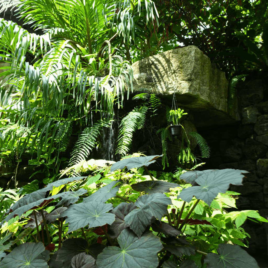 【板橋区・高島平】まるで東南アジア「熱帯環境植物館(ねったいかん)」水族館もある屋内ジャングル(板橋区議会議員 近藤タカヒロ)