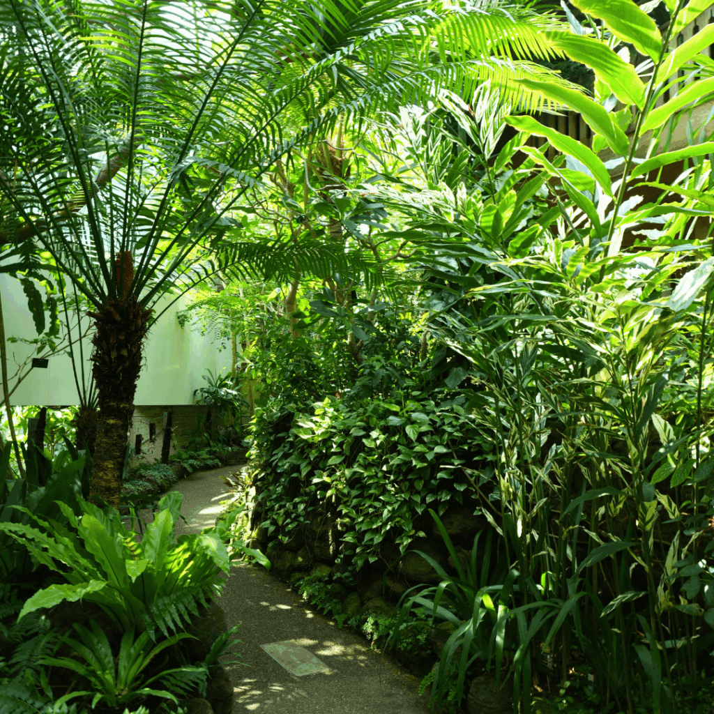 【板橋区・高島平】まるで東南アジア「熱帯環境植物館(ねったいかん)」水族館もある屋内ジャングル(板橋区議会議員 近藤タカヒロ)