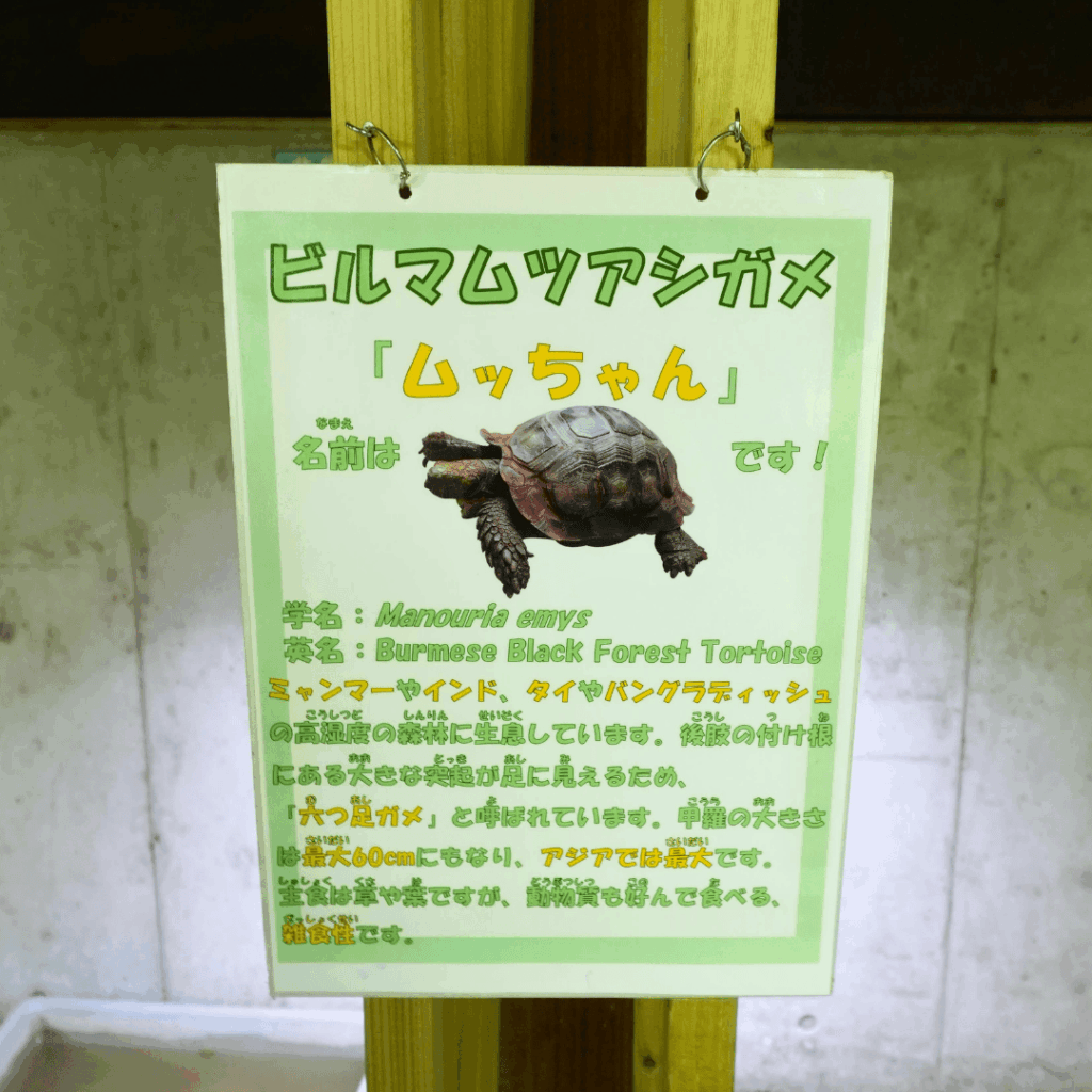 【板橋区・高島平】まるで東南アジア「熱帯環境植物館(ねったいかん)」水族館もある屋内ジャングル(板橋区議会議員 近藤タカヒロ)