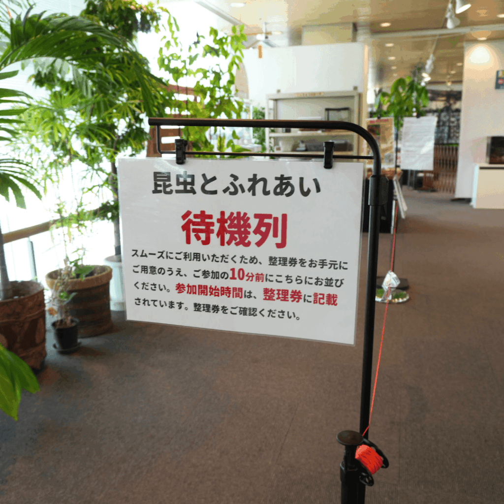 【8/30まで・板橋区】カブトムシに触れるって本当?ねったいかん夏休み特別展「熱帯の昆虫2026」に行ってきました(板橋区議会議員 近藤タカヒロ)
