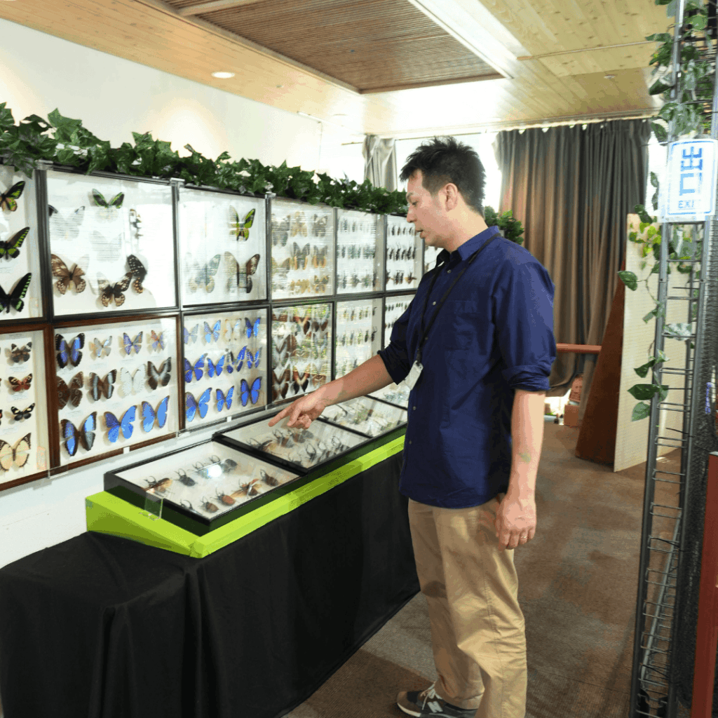 【8/30まで・板橋区】カブトムシに触れるって本当?ねったいかん夏休み特別展「熱帯の昆虫2026」に行ってきました(板橋区議会議員 近藤タカヒロ)