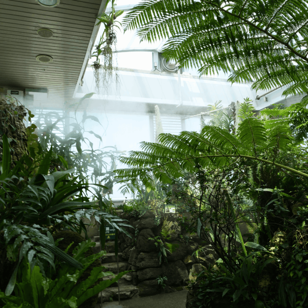 【板橋区・高島平】まるで東南アジア「熱帯環境植物館(ねったいかん)」水族館もある屋内ジャングル(板橋区議会議員 近藤タカヒロ)
