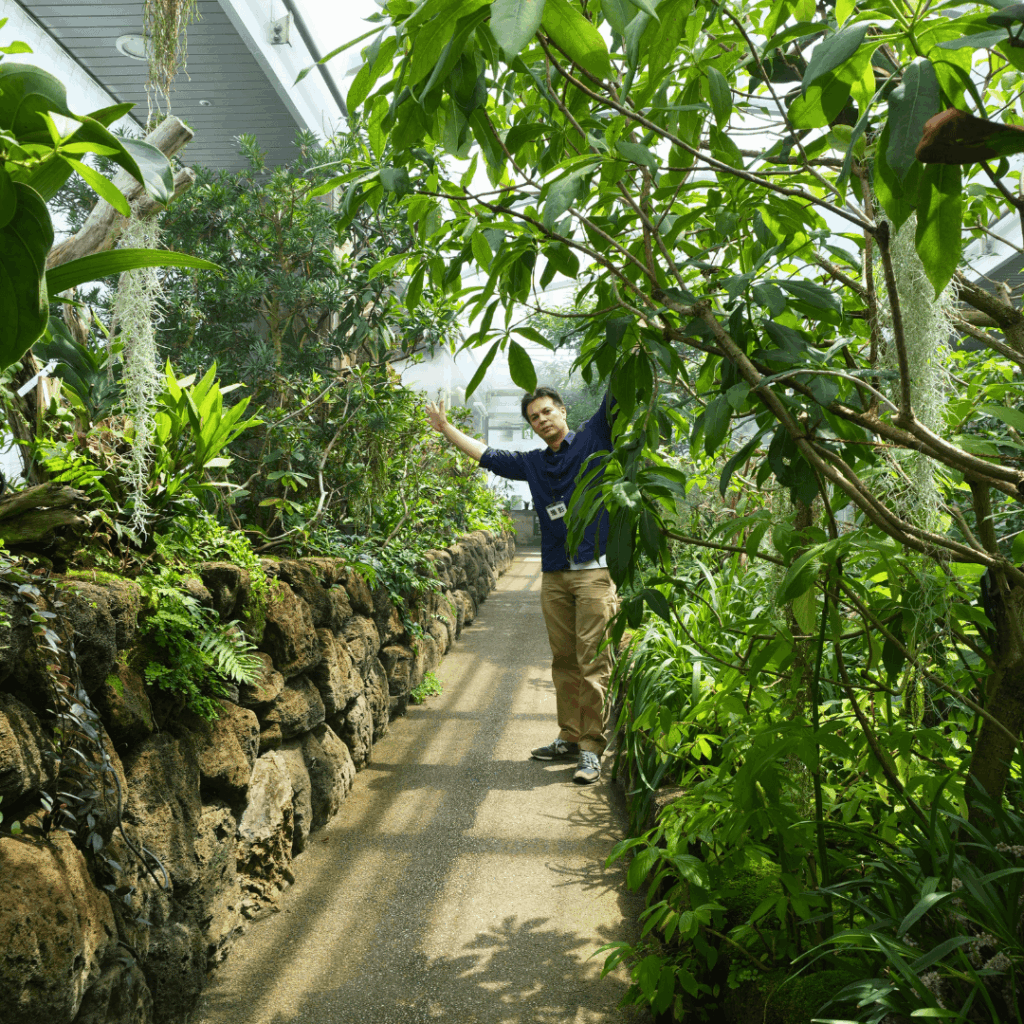 【板橋区・高島平】まるで東南アジア「熱帯環境植物館(ねったいかん)」水族館もある屋内ジャングル(板橋区議会議員 近藤タカヒロ)