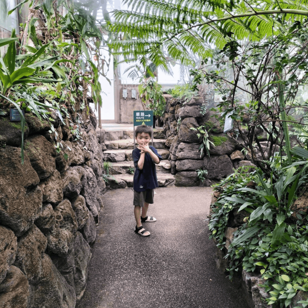 【熱帯環境植物館】高島平で開催中の「熱帯の昆虫2026」に子どもと行ってきました（板橋区議会議員 近藤タカヒロ）