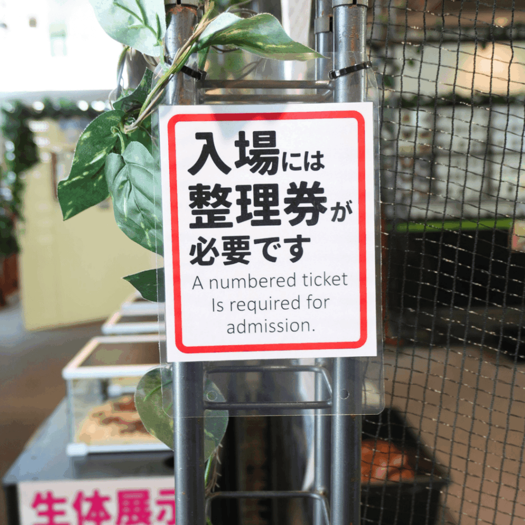 【8/30まで・板橋区】カブトムシに触れるって本当?ねったいかん夏休み特別展「熱帯の昆虫2026」に行ってきました(板橋区議会議員 近藤タカヒロ)