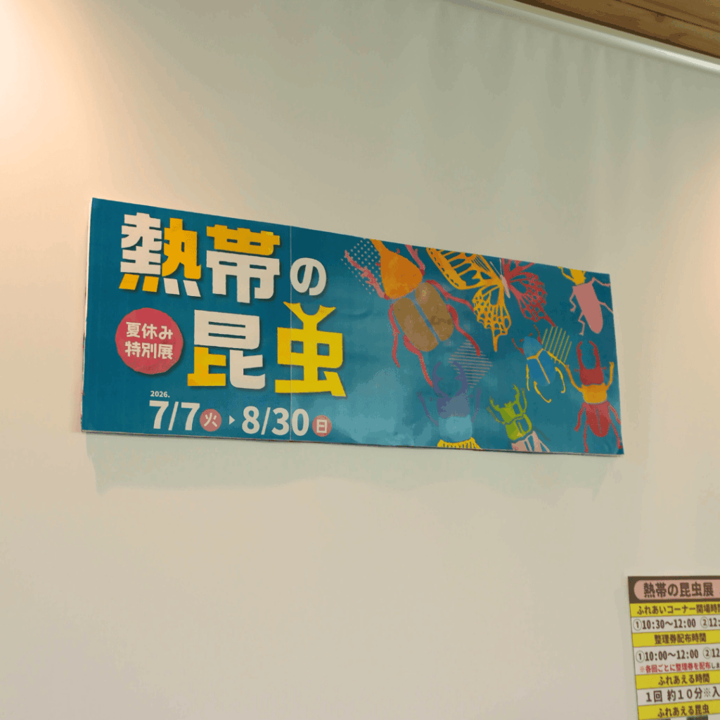 【8/30まで・板橋区】カブトムシに触れるって本当?ねったいかん夏休み特別展「熱帯の昆虫2026」に行ってきました(板橋区議会議員 近藤タカヒロ)