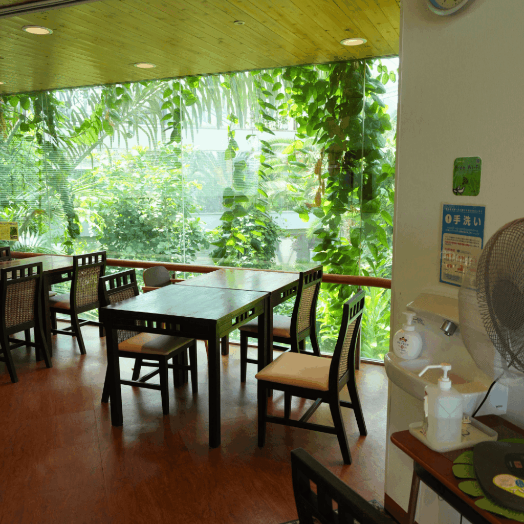 【板橋区・高島平】まるで東南アジア「熱帯環境植物館(ねったいかん)」水族館もある屋内ジャングル(板橋区議会議員 近藤タカヒロ)