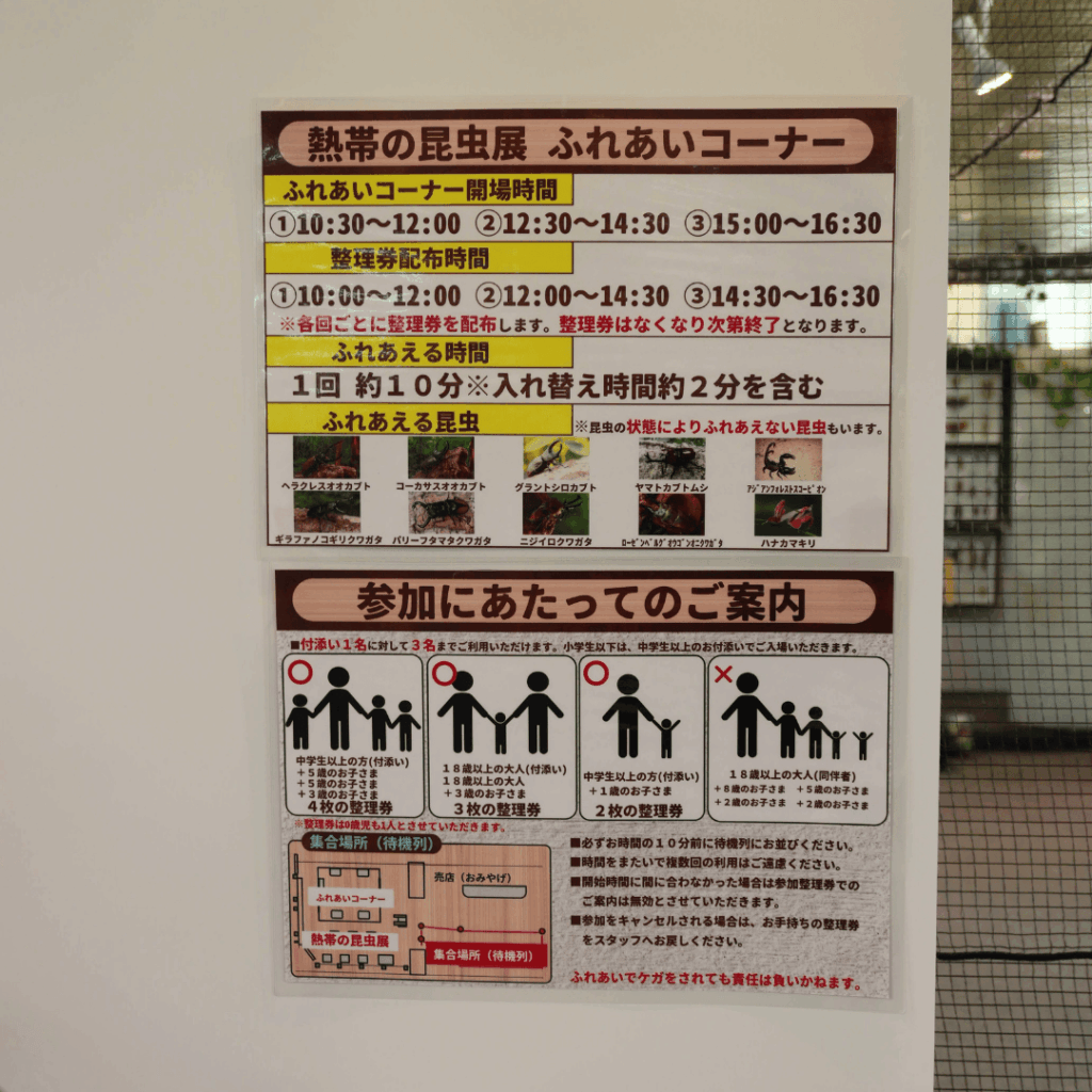 【8/30まで・板橋区】カブトムシに触れるって本当?ねったいかん夏休み特別展「熱帯の昆虫2026」に行ってきました(板橋区議会議員 近藤タカヒロ)