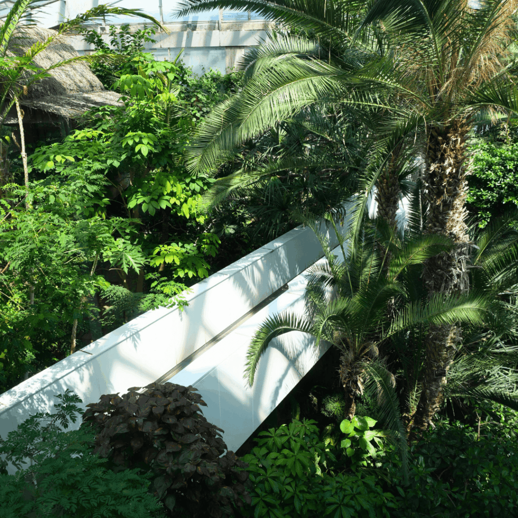 【板橋区・高島平】まるで東南アジア「熱帯環境植物館(ねったいかん)」水族館もある屋内ジャングル(板橋区議会議員 近藤タカヒロ)