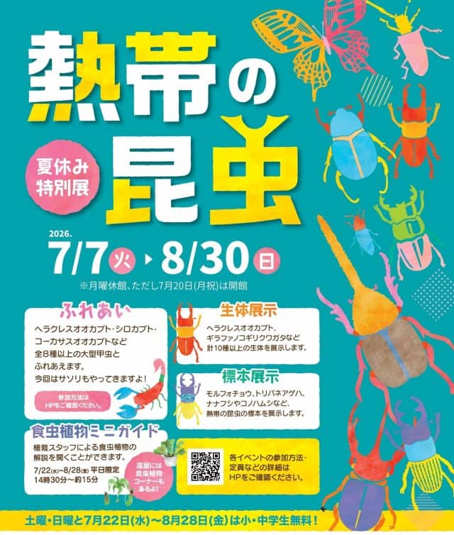 【8/30まで・板橋区】カブトムシに触れるって本当?ねったいかん夏休み特別展「熱帯の昆虫2026」に行ってきました
