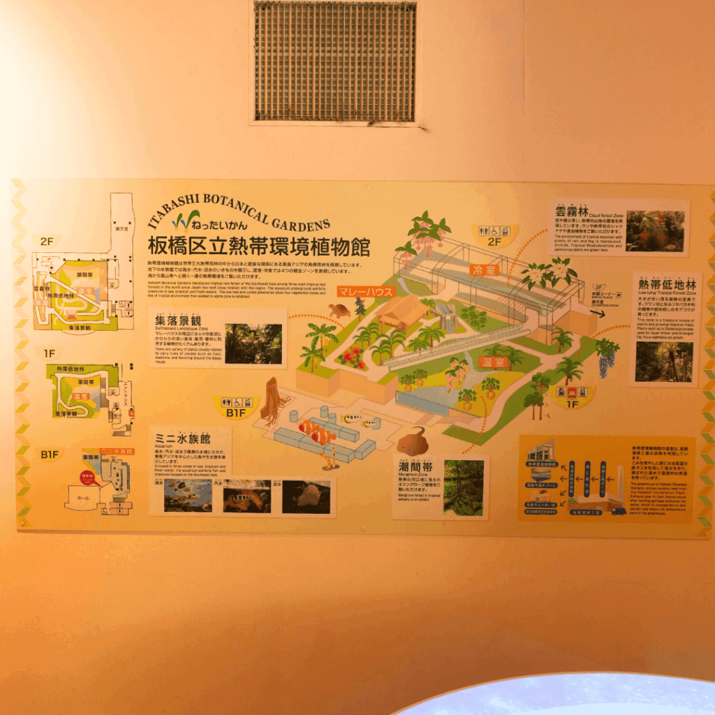 【板橋区・高島平】まるで東南アジア「熱帯環境植物館(ねったいかん)」水族館もある屋内ジャングル(板橋区議会議員 近藤タカヒロ)