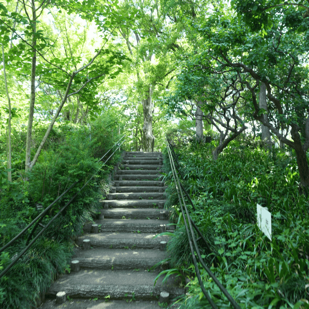 【赤塚】子連れにもおすすめ｜赤塚植物園の見どころとアクセスを紹介（板橋区議会議員 近藤タカヒロ）