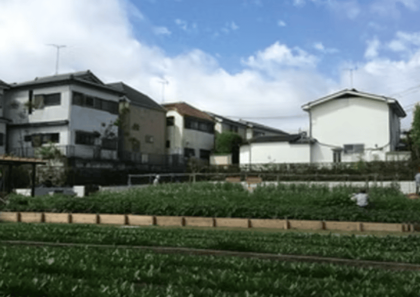 【赤塚】子連れにもおすすめ｜赤塚植物園の見どころとアクセスを紹介（板橋区議会議員 近藤タカヒロ）