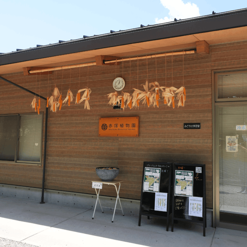 【赤塚】子連れにもおすすめ｜赤塚植物園の見どころとアクセスを紹介（板橋区議会議員 近藤タカヒロ）