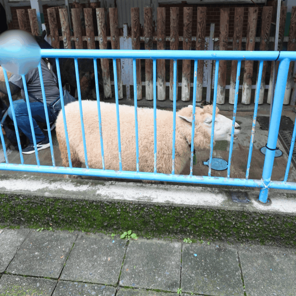 【入園無料】区立動物園「こども動物園 高島平分園」に行ってきました(板橋区・徳丸ヶ原公園)板橋区議会議員 近藤タカヒロ