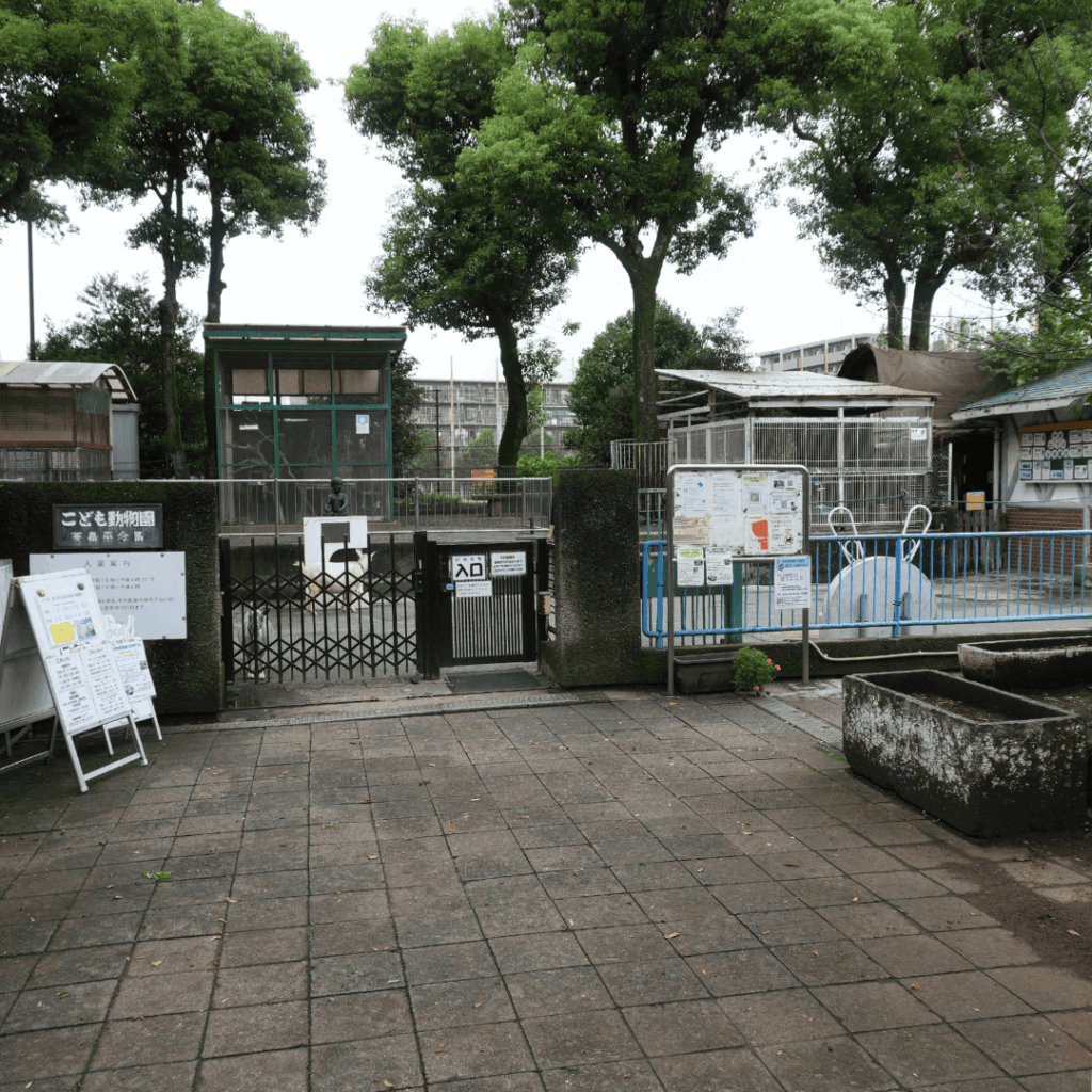 【入園無料】区立動物園「こども動物園 高島平分園」に行ってきました(板橋区・徳丸ヶ原公園)板橋区議会議員 近藤タカヒロ