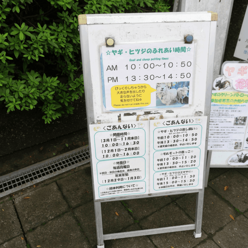 【入園無料】区立動物園「こども動物園 高島平分園」に行ってきました(板橋区・徳丸ヶ原公園)板橋区議会議員 近藤タカヒロ